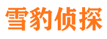 应县找人公司